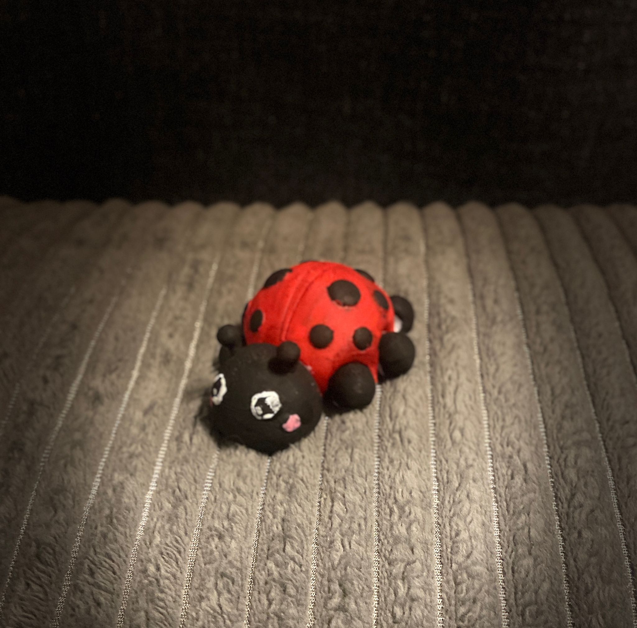 3D Boyama / DIY – Ladybug - Görsel 2
